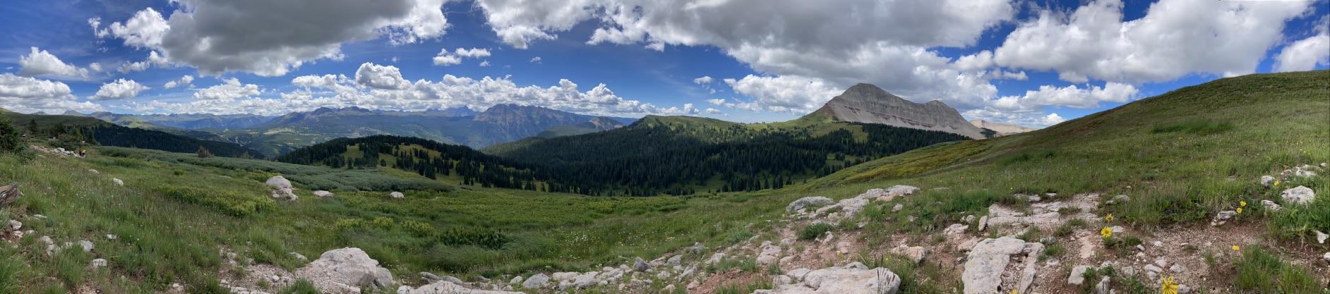 Alpine meadow in the Colorado Rockies