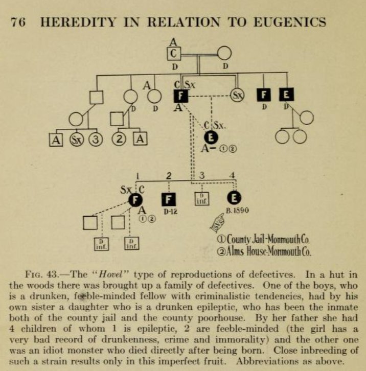 Pedigree chart from Charles Davenport's Heredity in Relation to Eugenics (1911)